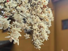 -杭州上天竺法喜讲寺
