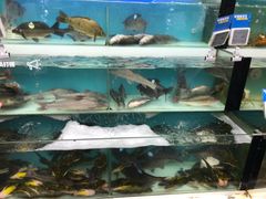 -盒马鲜生(宝地店)