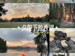 -东湖落雁景区