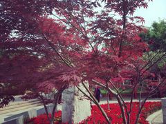 -济南国际园博园