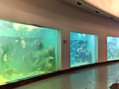 -上海长江河口科技馆