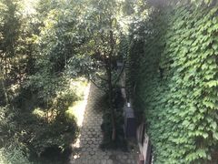 -梅园