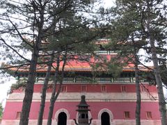 -磬锤峰森林公园