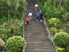 -铁山坪森林公园