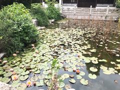 -衣裳街历史文化街区