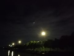 -鹤之洲湿地公园