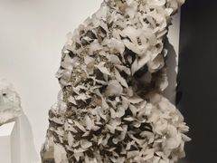 -重庆自然博物馆(新馆)