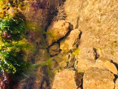 -青岛第三海水浴场