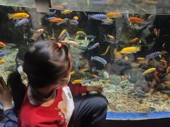 -太平洋海底世界