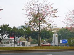 -南丰汇(新港东路店)