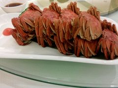 android_upload_pic-小厨娘淮扬菜(板桥一店)