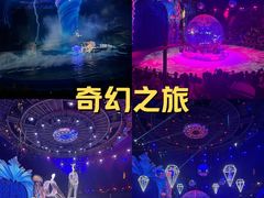 -海合安武汉极地海洋公园