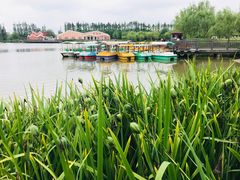 -上海长兴岛郊野公园