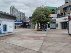 -证大大拇指广场(芳甸路店)