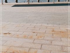 -仙人岛