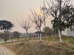 -白鹭湾湿地公园