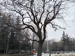 -木塔寺遗址生态公园