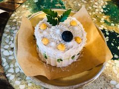 -野草莓自由市场