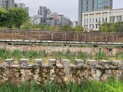 -沐仙湖湿地公园