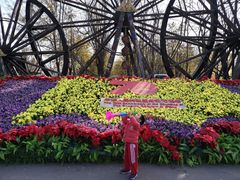 -呀路古热带植物园