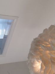 -杨丹国际美学肌研所