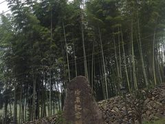 -泽雅景区
