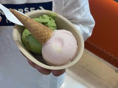-极拉图·现制冰淇淋(大卫城店)