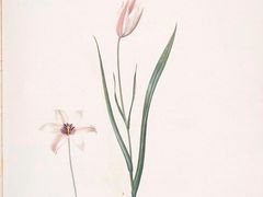 -八哥美术·成人美术画室(总校区)