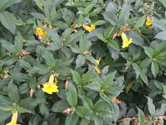 门面-粤式早茶希朋喜宴