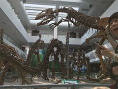 -中国地质大学逸夫博物馆