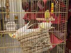 -潇湘·永州会馆(百子湾店)