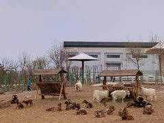-大青山野生动物园