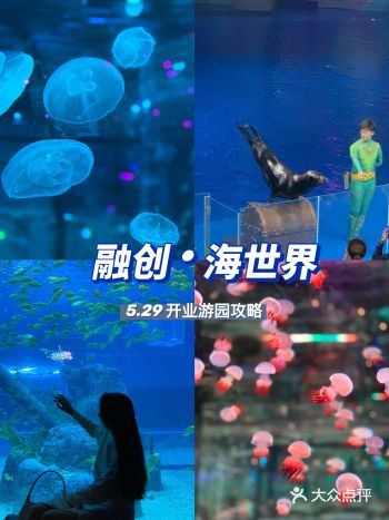 济南5.29开业融创·海世界游玩攻略