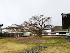 -醍醐寺
