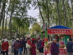 -仁和公园(顺义区)