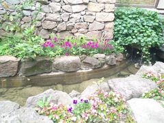 -驿舍·民國老营房院子私房菜(科学会堂店)