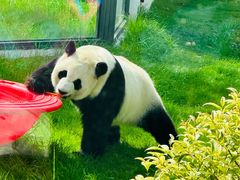 -无锡动物园·太湖欢乐园