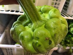-九溪蒋记菌子宴