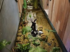 -邈墨茶馆(凤起路店)