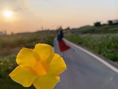 -光明小镇欢乐田园