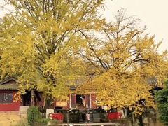 -佛荫寺