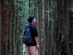 -山王坪喀斯特国家生态公园