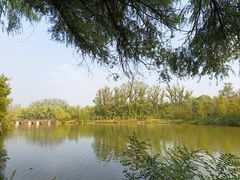 -翠湖国家城市湿地公园