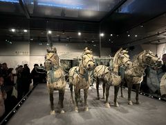 -秦始皇帝陵博物院-丽山园