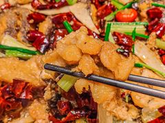 -老板恋上鱼(印象城店)