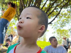 -铁山坪森林公园