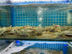 -老东镇啤酒屋海鲜加工·蒸汽海鲜·海鲜烧烤(台东店)