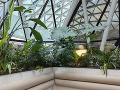 -Jazz·ya 爵士屋(来福士店)