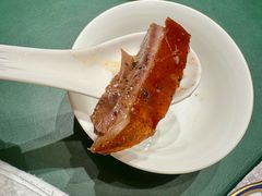 梅子农家烧鹅-南海渔村(珠江新城店)