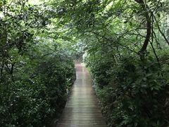 -上海佘山国家森林公园西佘山园